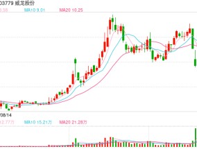 威龙股份暴雷！实控人涉嫌挪用资金罪被监视居住，股价“提前”大跌数日