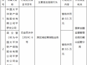 太保产险平罗支公司因跨区域经营保险业务被罚0.5万元