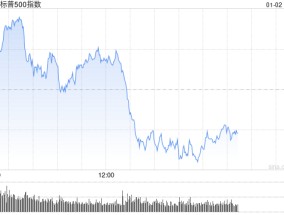 午盘：美股小幅上扬 特斯拉跌超5%